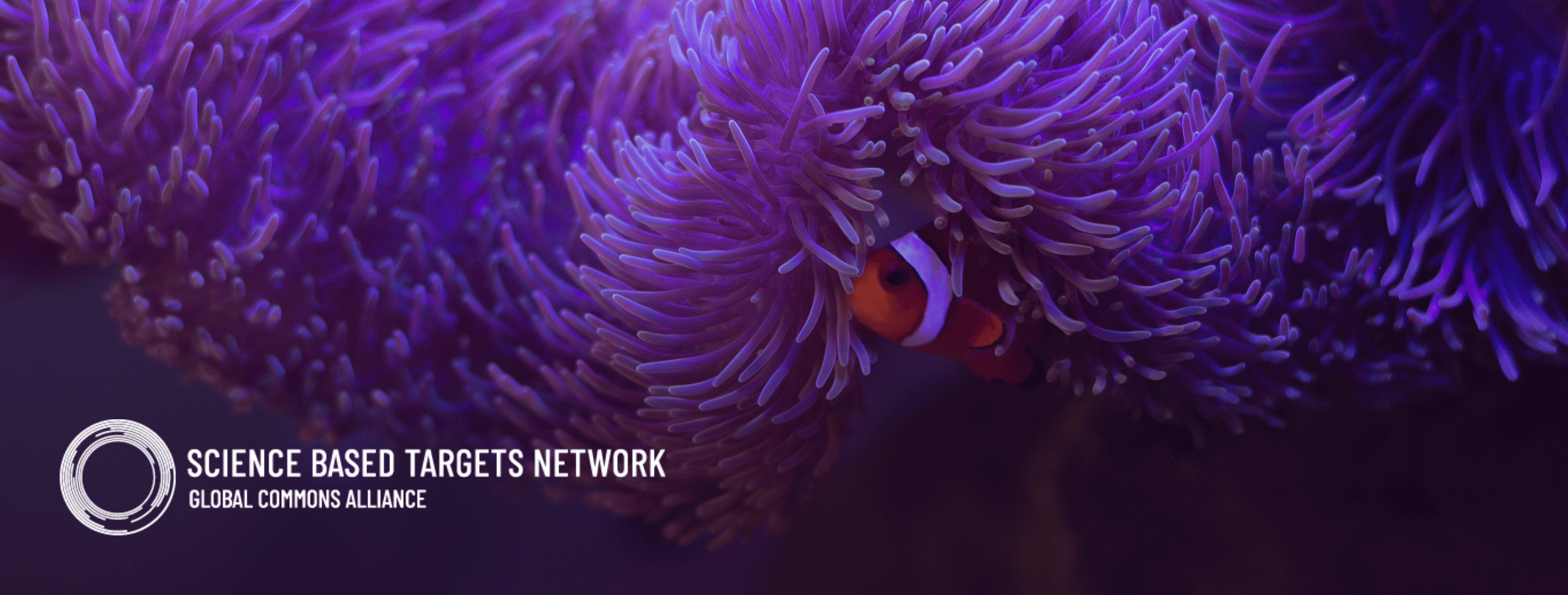 NatureHelm Joins SBTN Corporate Engagement Program