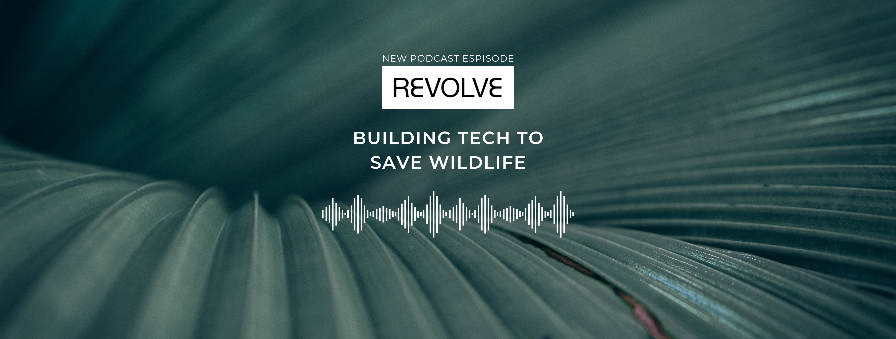 NatureHelm Revolve Podcast