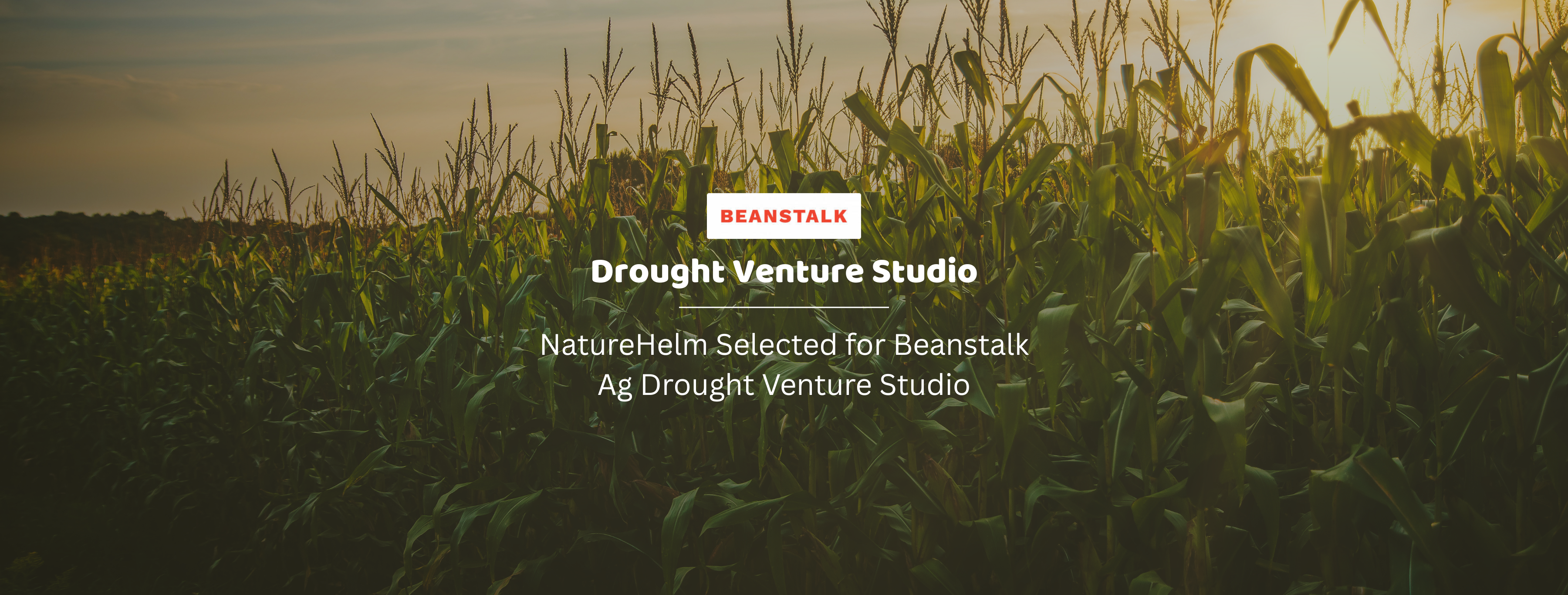 NatureHelm Selected for Beanstalk Ag Drought Venture Studio