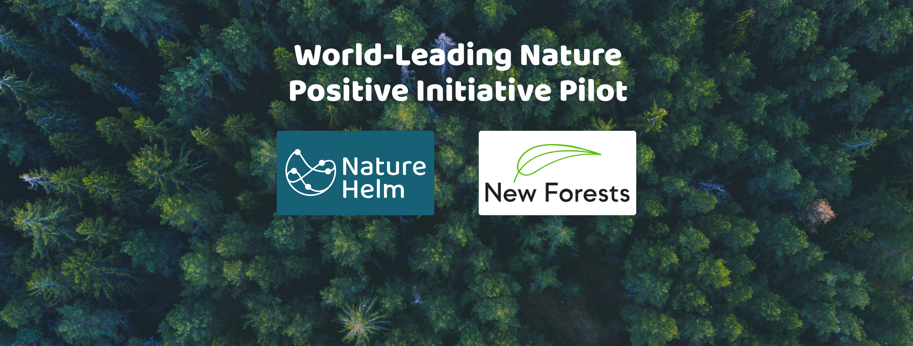 NatureHelm & New Forests