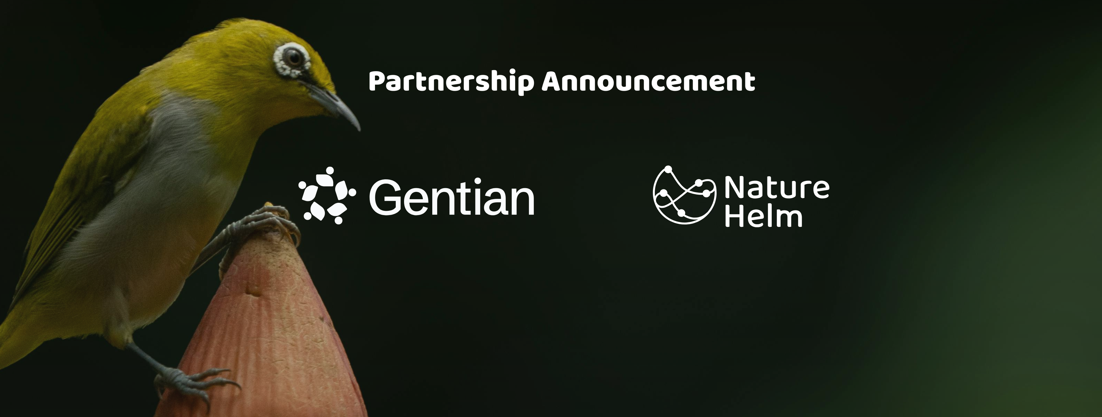 NatureHelm & Gentian Partnership