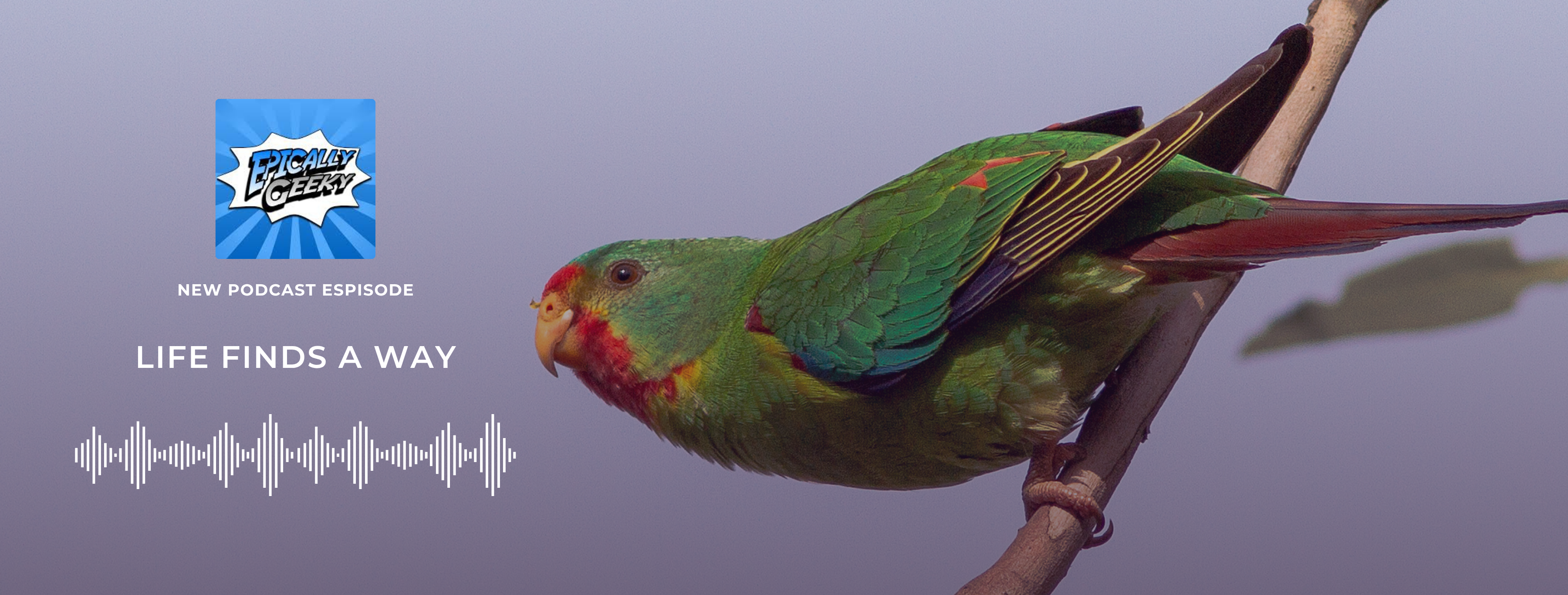 Sustainably Geeky Podcast Invites NatureHelm CEO