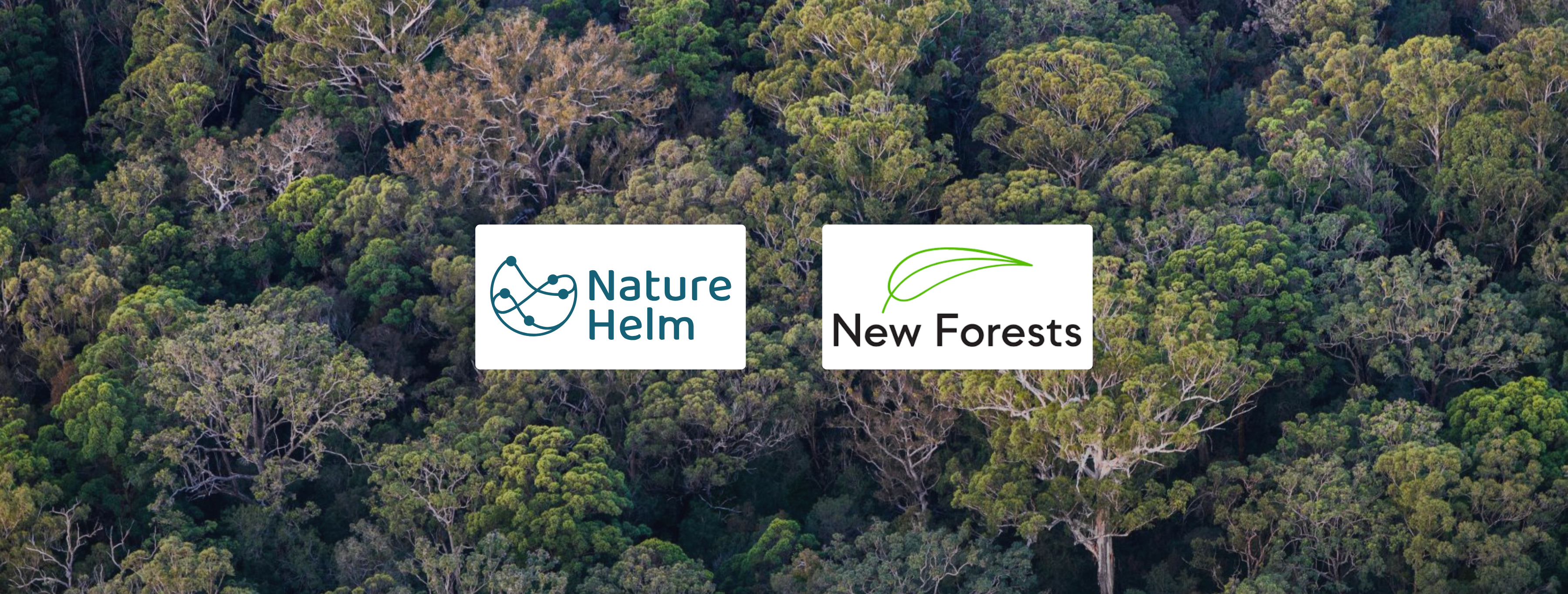 NatureHelm & New Forests