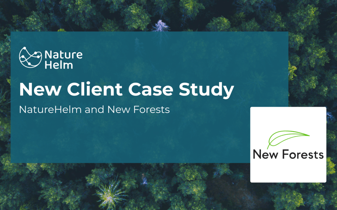 Case Study New Forests