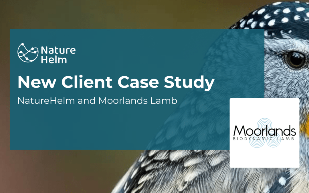 NatureHelm Moorlands
